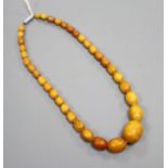 A single strand graduated oval amber bead necklace, gross weight 26 grams, 40cm.