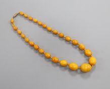 A single strand graduated oval amber bead necklaces, gross weight 26 grams, 44cm.