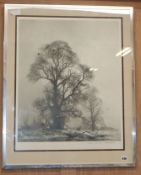 David Shepherd, monochrome print, Study of trees and birds, signed in pencil, 64 x 51cm, and a
