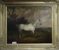 J.W. Webb. 19th century English School, oil on canvas, Dapple grey horse in a landscape, 63 x 76cm