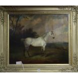 J.W. Webb. 19th century English School, oil on canvas, Dapple grey horse in a landscape, 63 x 76cm