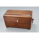 A William IV mahogany tea caddy