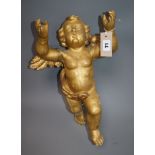 A carved giltwood and gesso cherub, with fixings for wall mounting (a.f. to gilding) H.43cm