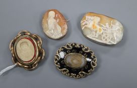 Three assorted cameo brooches and a black enamel mourning brooch, largest 65mm.