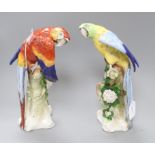 A pair of Sitzendorf Macaws, one red, one blue, each modelled perched on a naturalistic tree stump