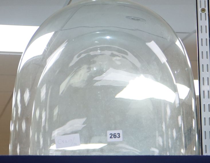 A glass dome (without stand) H.36cm