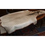 A large zebra skin rug, baize backed L. approx. 320cm
