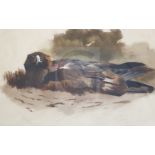 Archibald Thorburn (1860-1935)watercolourEagle sitting on nestsigned and titled, Tryon Gallery label
