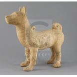 A Chinese Sichuan pottery model of a standing dog standing, Han dynasty (206BC - 220AD), with Oxford