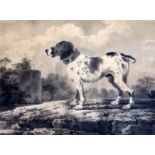 Attributed to Pietro Palmieri (1737-1804)monochrome watercolourHound in a landscape7.25 x 9.75in.