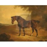 Early 19th century English Schooloil on boardBrown horse in a landscape18 x 23.25in.