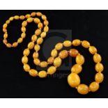 A single strand graduated oval amber bead necklace, gross weight 99 grams, 97cm.