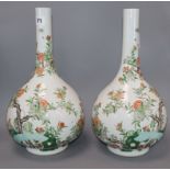 A pair of Chinese enamelled porcelain bottle vases, each painted with Birds of Paradise amid