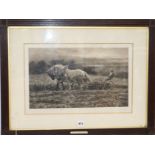 Herbert Dicksee (1862-1942) etching, The Clover Field, signed in pencil 32 x 50cm