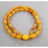 A single strand graduated oval amber bead necklace, gross weight 47 grams, 69cm.