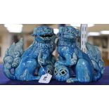 A pair of turquoise ground Buddhistic lions