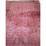 A large Tekke Bokhara red ground carpet Approx. 360 x 280cm