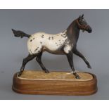 An Appaloosa stallion modelled by Doris Lindner for Royal Doulton height 29cm