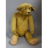 An early English teddy c.1920, 26in., short gold mohair, clear glass eyes, very large ears, foot