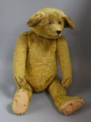 An early English teddy c.1920, 26in., short gold mohair, clear glass eyes, very large ears, foot