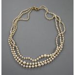 A triple strand graduated cultured pearl necklace, with 925 gilt clasp (a.f.). approx. 52cm.