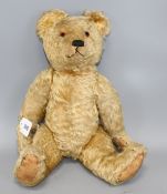 An Alpha Farnell bear, c.1950, 20in., original paw pads, one damaged, glass eyes, slight thinning to
