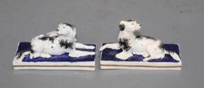 A pair of Staffordshire porcelain models of recumbent setters, c.1830-50, both with typical minor