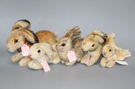 Two 1950s' Steiff 'Hoppy' rabbits, 23cm and 18cm, a 1940's 'Pummy' rabbit, 15cm, and two lying