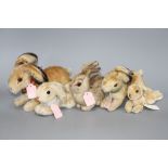 Two 1950s' Steiff 'Hoppy' rabbits, 23cm and 18cm, a 1940's 'Pummy' rabbit, 15cm, and two lying