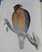 Gould, John - The Birds of Australia, facsimile edition, 7 vols including the Supplement, lacking