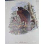 Gould, John - The Birds of New Guinea, facsimile edition, vols 1 and 5, folio, gilt titled red