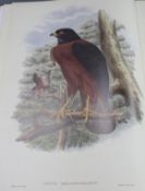 Gould, John - The Birds of New Guinea, facsimile edition, vols 1 and 5, folio, gilt titled red