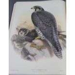 Gould, John - The Birds of Great Britain, facsimile edition, vols 1 and 4 (of 5), folio, gilt titled