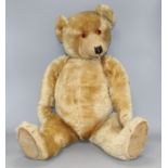 A Chiltern Hugmee 1930's bear, 25in., velvet pads, bald patch back of both legs and also back of