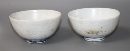 Two Chinese Ming blue and white bowls, Zhangzhou kilns, each painted with a lion-dog to the