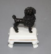 A rare Staffordshire small porcelain figure of a black poodle, c.1830-50, good condition, H. 7.