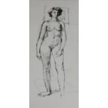 Peter Collins, twelve pen and ink on paper, Studies of female nudes, largest 35 x 25cm, unframed