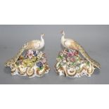 A pair of Derby figures of peacocks, c.1840, red printed crown D mark, H. 15.5 and 16cm Condition: