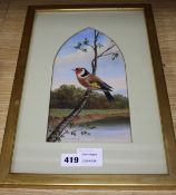 D. Harper (19th C.), oil on board, Goldfinch in a landscape, signed, 27.5 x 14cm Condition: Good