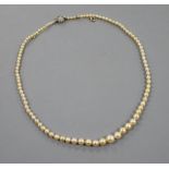 A single strand graduated natural saltwater pearl necklace, with old cut diamond cluster set