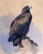 Archibald Thorburn (1860-1935)ink and watercolourGolden Eagle perched upon a rocksigned and dated