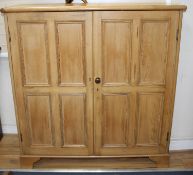 An Edwardian pine boot cupboard, with two panelled doors enclosing a fixed nine division interior,