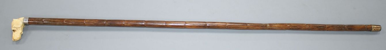 A walking stick, the ivory handle carved as a dog's head with glass eyes, silver collar, London
