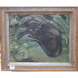 Alison Rose, oil on canvas, Study of a black cat, signed and dated 1930, 40 x 50cm Condition: Slight