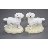 A pair of Samuel Alcock standing figures of poodles, c.1840-50, impressed '247', both with firing