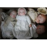 Three Grace Putnam Bye Lo babies and a closed mouth Dream baby, 14in., 10in., 11in. and 14in.