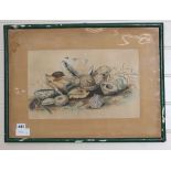 A Regency watercolour study of seashells, 25 x 40cm Condition: Faded with discoloured buff paper, no