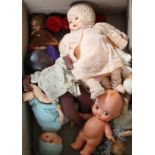 Ten plastic and composition dolls including Xmas fairy