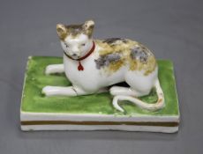 A rare Staffordshire porcelain figure of a recumbent tortoiseshell cat, c.1835-50, both ears