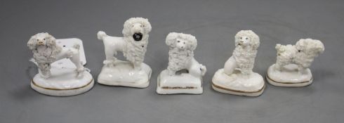 Five Staffordshire porcelain toy figures of poodles, c.1835-50, all with typical minor manufacturing